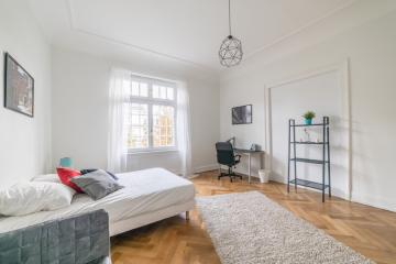 Coliving - Strasbourg - Strasbourg - Grande chambre chaleureuse - 22m² - ST47