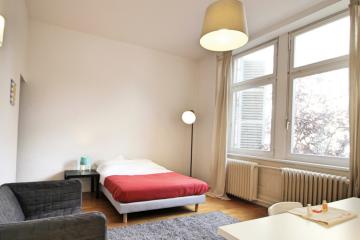 Coliving - Strasbourg - Strasbourg - Chambre spacieuse et chaleureuse – 22m² - ST19